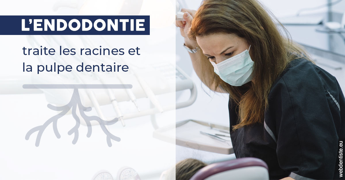 https://dr-abbou-michel.chirurgiens-dentistes.fr/L'endodontie 1