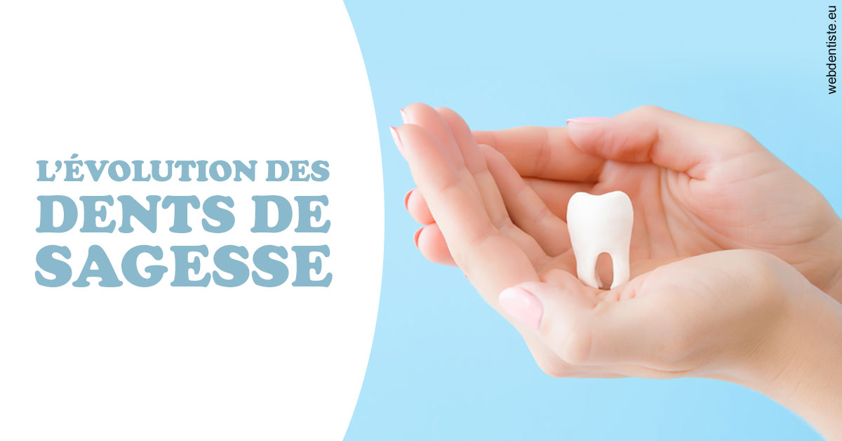 https://dr-abbou-michel.chirurgiens-dentistes.fr/Evolution dents de sagesse 1